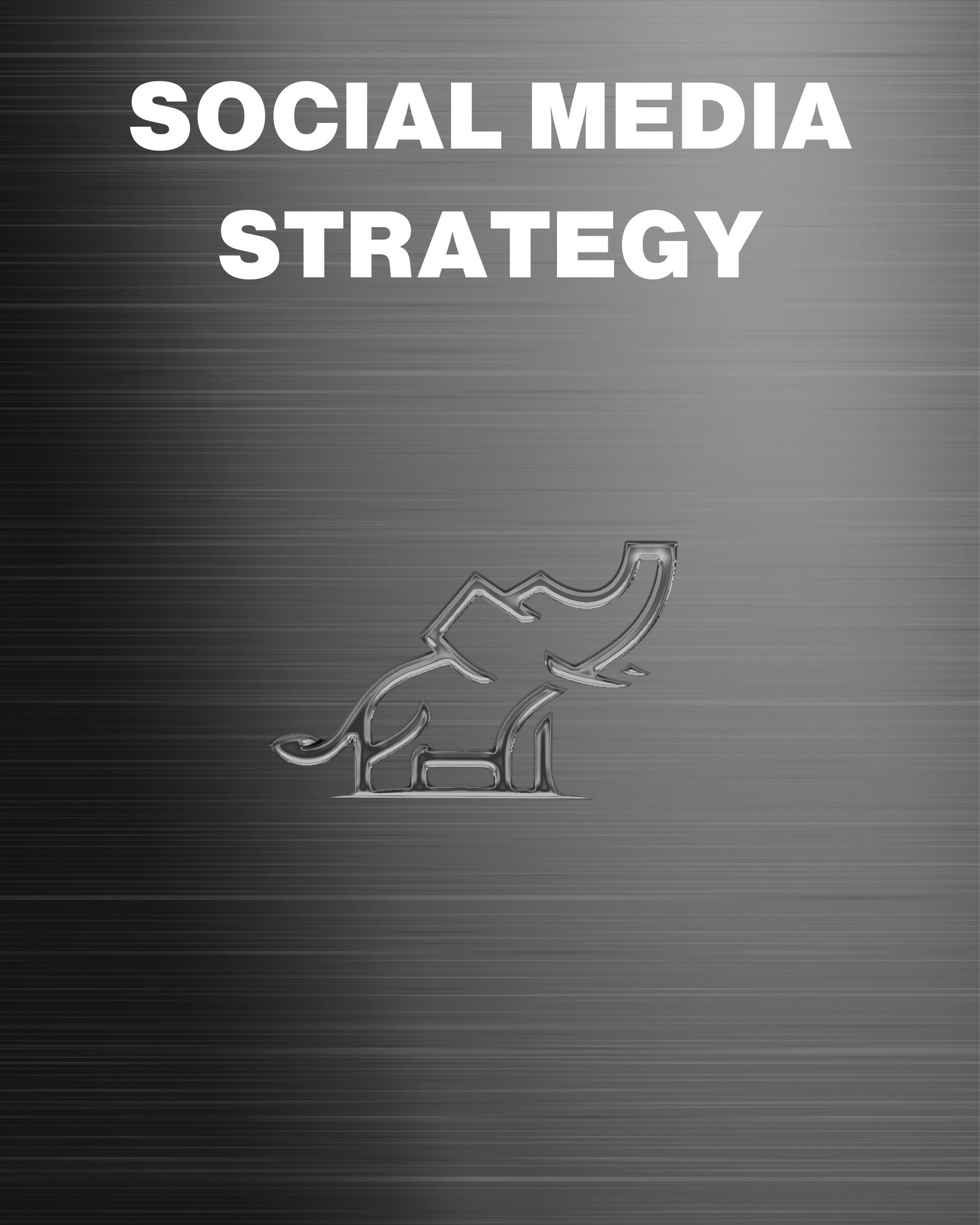 Social Media Strategy Plans